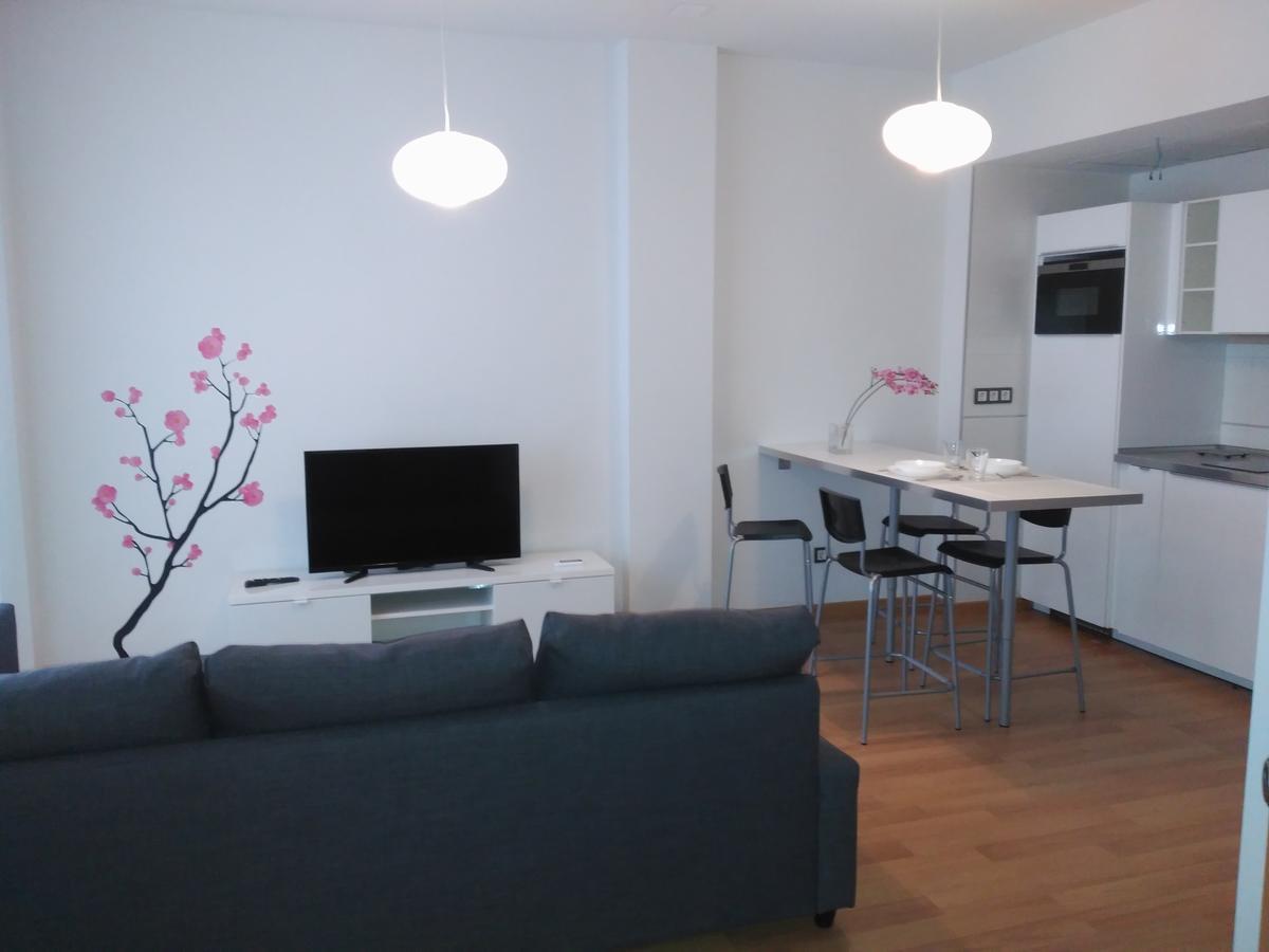 Espacioso Apartamento Jinetes マラガ 部屋 写真